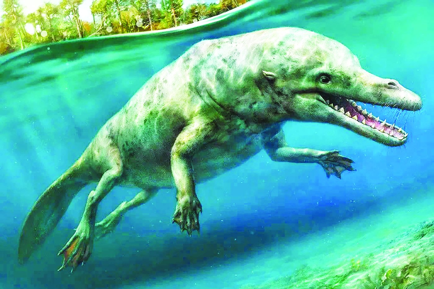 Ancient whale illustration